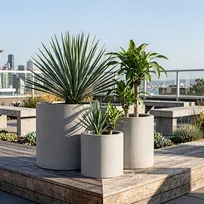 A staggered trio of classic cylindrical GFRC planters in varying sizes, elegantly arranged to create a cohesive landscape focal point in a modern commercial environment.